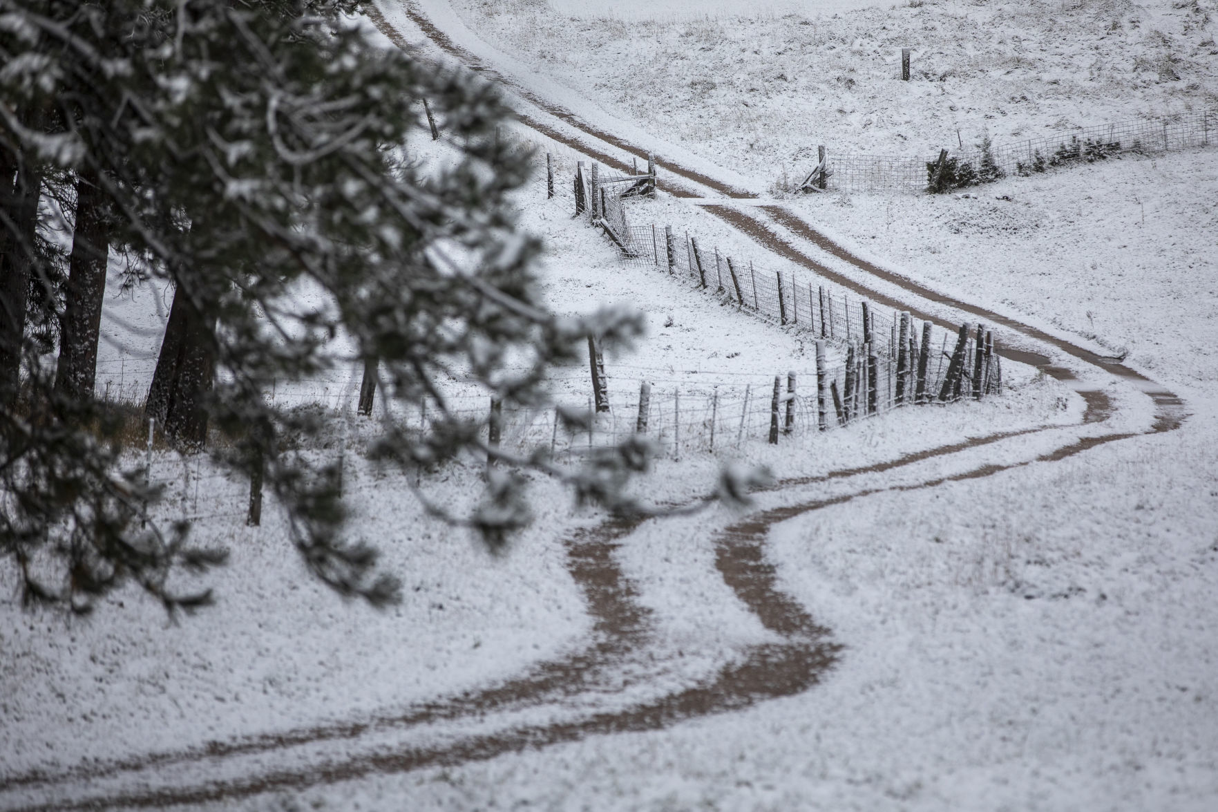 Autumn snow